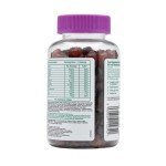 Chewy Vites Kids Multivitamin Gummies - Berry Flavor