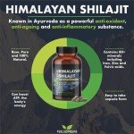 Himalayan Shilajit Capsules – 100% Pure Supplement