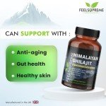 Himalayan Shilajit Capsules – 100% Pure Supplement