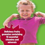 Chewy Vites Kids Multivitamin Gummies - Berry Flavor