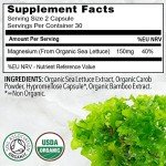 Organic Vegan Magnesium Capsules - Whole Food Source