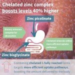 Zinc Chelate 25mg Tablets with Copper, 180 Count