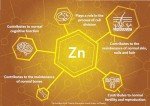 Zinc Sulphate 50ml - Vegan Ionic Mineral Supplement