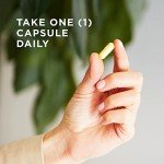 Solgar Vitamin B-Complex "100" - 100 Veg Capsules