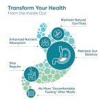Complete Probiotic Blend with Lactobacillus and Inulin