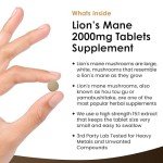 Lion's Mane Mushroom Extract 2000mg Vegan Tablets