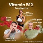 High-Dose Vegan B12 1000mcg, 450 Tablets