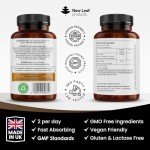 Lion's Mane Mushroom Extract 2000mg Vegan Tablets