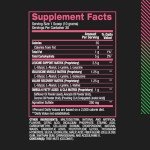 BPI Sports Best BCAA Watermelon Ice 300g