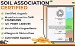 Organic Turmeric Curcumin with Black Pepper - 120 Veg Capsules