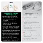 Essential Amino Acids for Muscle Recovery – 300 Tablets