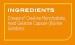 Reflex Nutrition Creatine Monohydrate Capsules for Gains