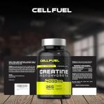 High Strength Creatine Monohydrate Tablets 4000mg