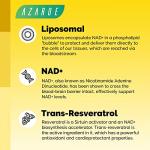 Liposomal NAD+ & Trans-Resveratrol 800mg Softgels