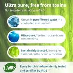 Vegan DHA & EPA Omega 3 Algae Oil Softgels