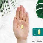 Vegan Omega 3 DHA Algae Oil Softgels 1500mg