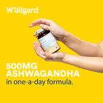 Wellgard Vegan KSM-66 Ashwagandha Root Powder
