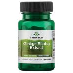 Swanson Ginkgo Biloba Extract 60mg, 60 Capsules