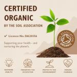 Organic Turmeric Powder - 200g by Sevenhills Wholefoods