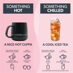 Nutra Tea Chamomile & Valerian for Relaxation