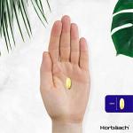 Flaxseed Oil Capsules 2000mg | 360 Count
