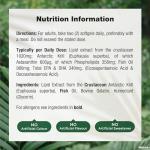 Antarctic Krill Oil 2000mg with Omega 3