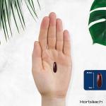 High Strength Antarctic Krill Oil 2000mg Softgels