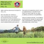 Antarctic Krill Oil 500mg Softgels - 180 Count
