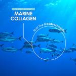 Wild Caught Marine Collagen Capsules with Vitamin C