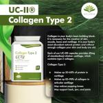 UC-II® Type 2 Collagen Capsules for Joint Support