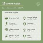 Pure Hydrolyzed Collagen Powder with Amino Acids