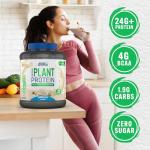 Applied Nutrition Vegan Plant Protein Powder - Vanilla