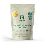 Vegan Protein Powder with Digestive Enzymes - 21g