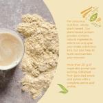 Vanilla Vegan Protein Powder | 22g Per Serving