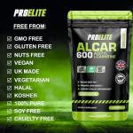 Vegan Acetyl L-Carnitine Capsules for Energy