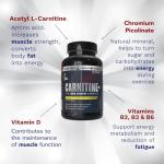 L Carnitine 2000mg Capsules for Energy & Metabolism
