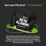 Beta Alanine Powder 250g for Strength & Endurance
