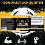 Beta Ecdysterone 1200mg for Muscle Gain 60 Caps