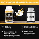 Beta Ecdysterone 1200mg for Muscle Gain 60 Caps