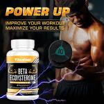 Beta Ecdysterone 1200mg for Muscle Gain 60 Caps
