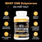 Beta Ecdysterone 1200mg for Muscle Gain 60 Caps