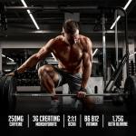 OMNIA Power Pre Workout - Energy Drink Powder
