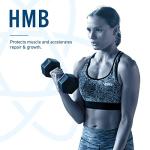 Applied Nutrition HMB 500mg Capsules for Muscle Growth