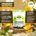 Linus Pauling LP5 Powder for Heart Health - 500g