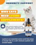 L-Lysine Drops for Cats - Immune & Allergy Support