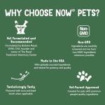 L-Lysine Powder Supplement for Cats