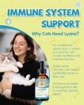 L-Lysine Cat Drops for Immune Support