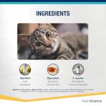 Lysine Aid Gel for Cats - Immune Support 50ml
