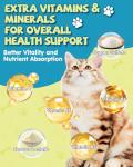 L-Lysine Cat Drops for Immune Support