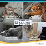 Lysine Aid Gel for Cats - Immune Support 50ml